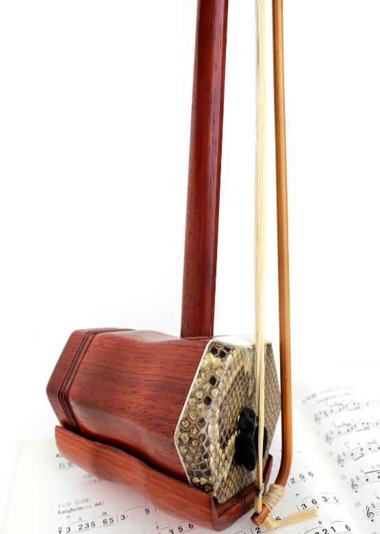 Erhu 1